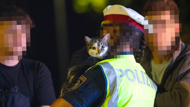 Die Katze war sichtlich dankbar über ihre Rettung