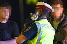 Die Katze war sichtlich dankbar über ihre Rettung