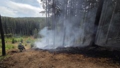 Ein Blitz dürfte laut LAWZ den Brand ausgelöst haben. 