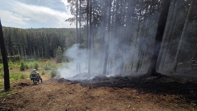 Ein Blitz dürfte laut LAWZ den Brand ausgelöst haben.