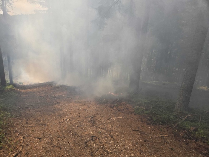 Das Feuer ist auf Sträucher übergegangen.
