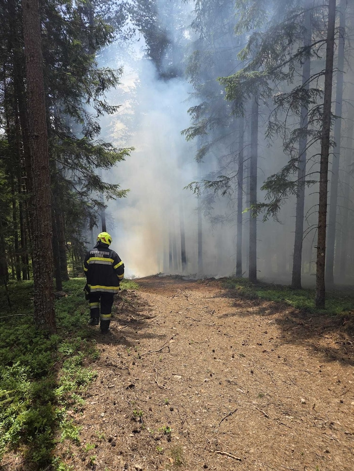 Die Einsatzkräfte wurden zu der Rauchentwicklung im Wald gerufen.