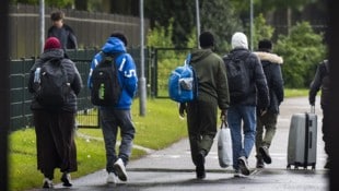 Großteil der in NÖ arbeitslosen und in Schulung befindlichen Flüchtlinge stammt aus Syrien, ...