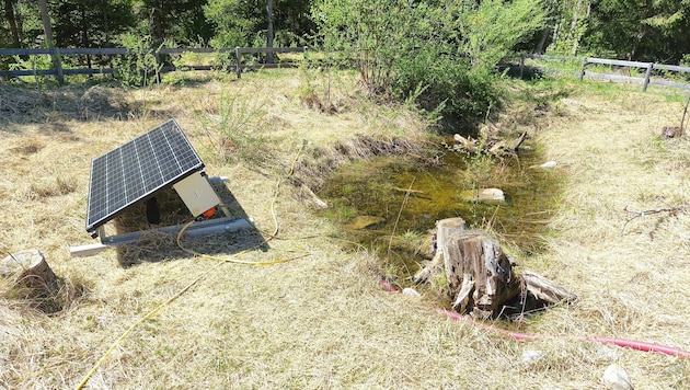 Die Projektgruppe baute den Amphibien ein „modernes“ Plätzchen mit PV-Anlage.