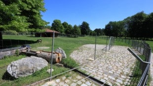 Die Tiere leben wie in einem Hochsicherheitstrakt im Gefängnis. Nicht, um sie am Ausbrechen zu ...