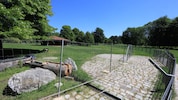 Die Tiere leben wie in einem Hochsicherheitstrakt im Gefängnis. Nicht, um sie am Ausbrechen zu ...