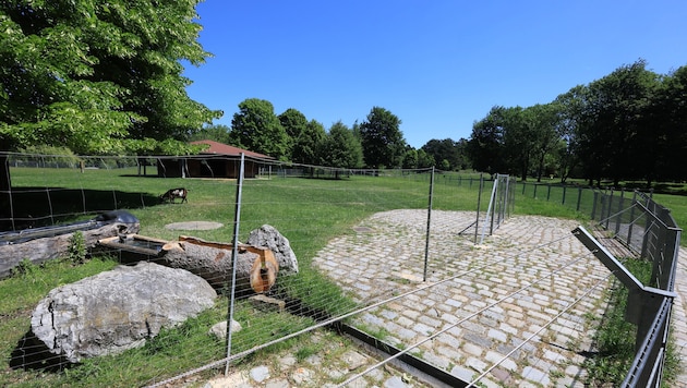 Die Tiere leben wie in einem Hochsicherheitstrakt im Gefängnis. Nicht, um sie am Ausbrechen zu ...