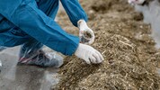 AMA-Kontrollen &amp; Co. sorgen hierzulande für die Sicherheit. Ausländische Produkte werden ...