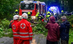 Hier in St. Florian bei Linz hätte ein umgerissener Baum fast einen Mopedlenker getroffen