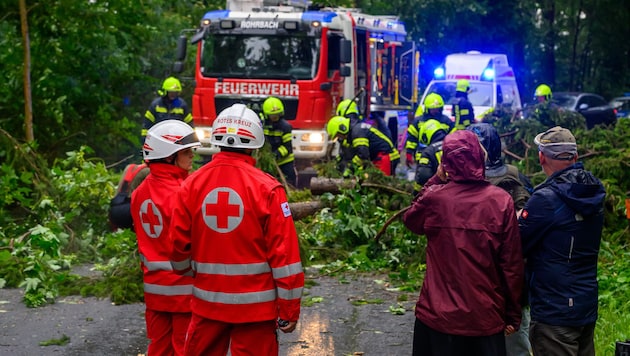 Hier in St. Florian bei Linz hätte ein umgerissener Baum fast einen Mopedlenker getroffen
