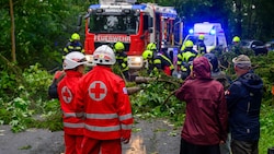 Hier in St. Florian bei Linz hätte ein umgerissener Baum fast einen Mopedlenker getroffen