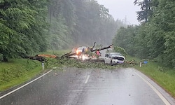 Die Gewitterfront sorgte für zahlreiche Schäden in ganz Österreich.