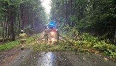 Die Feuerwehren waren gefordert – hier ein Bild aus Thalgau