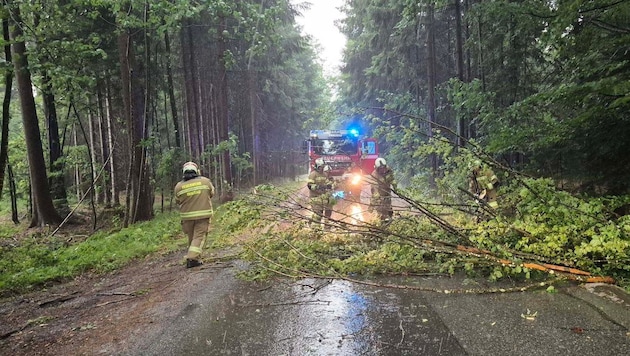 Die Feuerwehren waren gefordert – hier ein Bild aus Thalgau