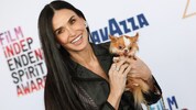 Demi Moore muss von Hündchen „Pilaf“ Abschied nehmen.