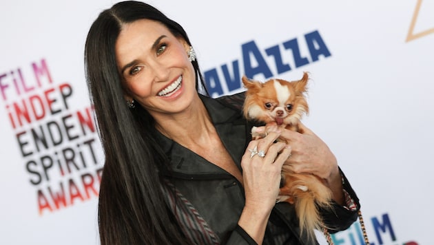 Demi Moore muss von Hündchen „Pilaf“ Abschied nehmen.