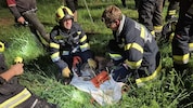 Die Einsatzkräfte konnten das junge Tier aus einem Bachbett retten. 