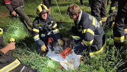 Die Einsatzkräfte konnten das junge Tier aus einem Bachbett retten. 