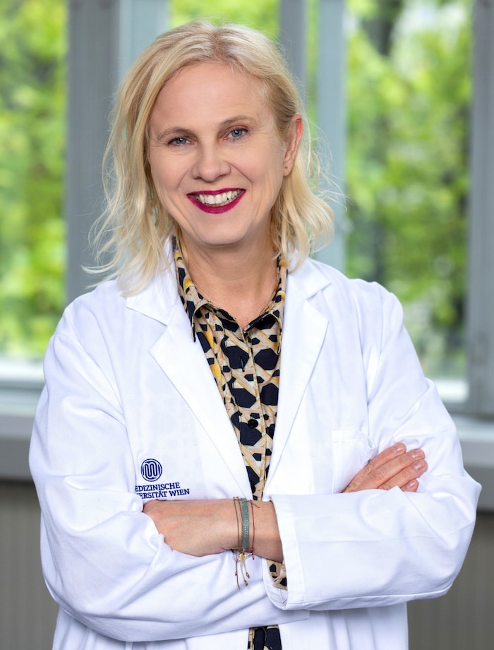 Prof. Sabine Sator ist Leiterin der klinischen Abteilung für Schmerzmedizin an der MedUni Wien.
