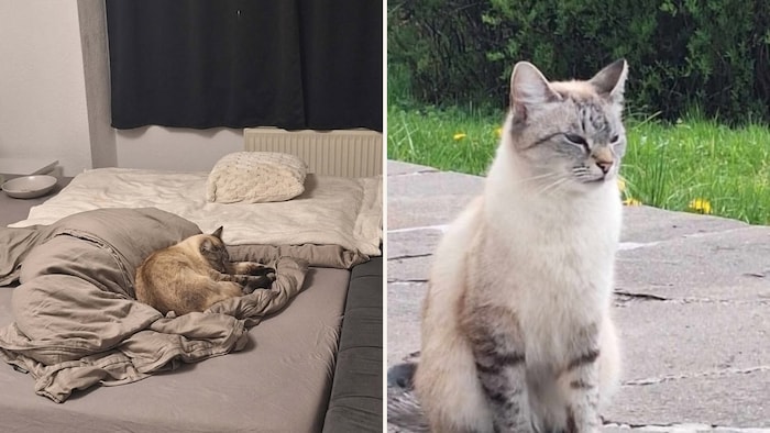 Wer kennt mich?