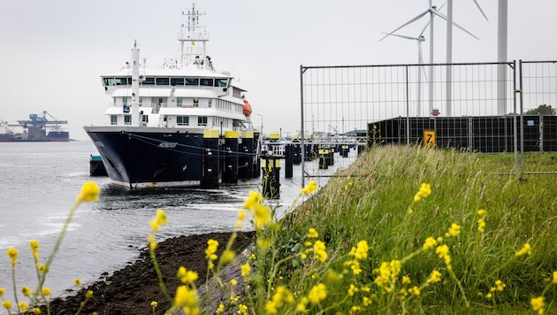Das Schiff wurde tagelang in Rotterdamm gereinigt.