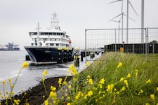 Das Schiff wurde tagelang in Rotterdamm gereinigt.