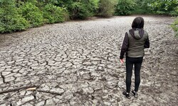 Die Mattig ist zwischen Mattighofen und Helpfau-Uttendorf derzeit völlig ausgetrocknet.