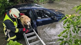 Ein Hund wurde aus einem Auto im Strembach gerettet.