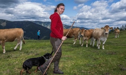 Melanie Affenberger zeigt vor, wie man sich richtig verhält und einen Hund führt.