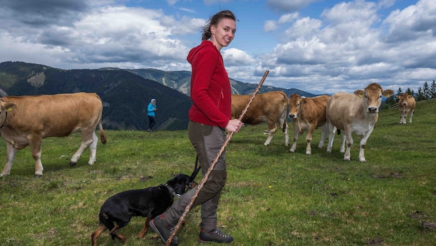 Melanie Affenberger zeigt vor, wie man sich richtig verhält und einen Hund führt.