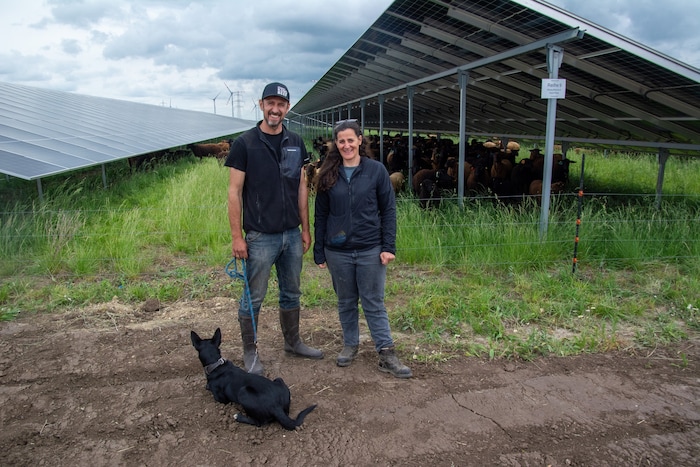 Georg und Julia Prantl vom Bio-Hof Prantl in Neudorf bei Parndorf. 120 Schafe (plus 90 Lämmer) ...