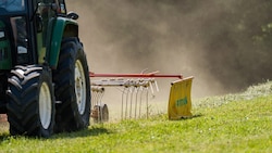 Beim Grünland beträgt der Ernteverlust bei Heu regional bei bis zu 70 Prozent.