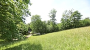 Um jene Wiese nahe der Höhenstraße ereigneten sich die perversen Vorfälle.