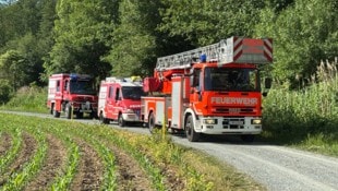 Die Kärntner Feuerwehren rückten im Vorjahr zu gut 17.000 Einsätzen aus. 