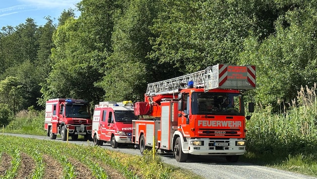 Die Kärntner Feuerwehren rückten im Vorjahr zu gut 17.000 Einsätzen aus.