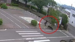 Die Behörden suchten nach dem Vorfall nach dem Tier und warnten die Bevölkerung vor weiterer ...