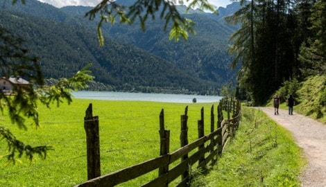 Wanderweg am Achensee in Tirol