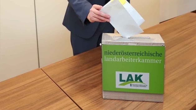 Allzu viele Stimmzettel wurden bei der NÖ-Landarbeiterkammerwahl nicht in die Urnen eingeworfen.