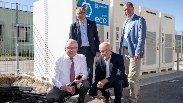 Ökopioniere unter sich: Pernkopf, eNu-Chef Greisberger, Schütz (electrify) und Ecoplus- ...