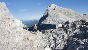 Alpine Erfahrung und ausreichend Kondition sind für die mehrtägige Durchquerung des ...