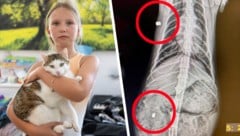 Jasmina mit Kater „Merlin“, in dessen Körper jetzt zwei Projektile stecken.