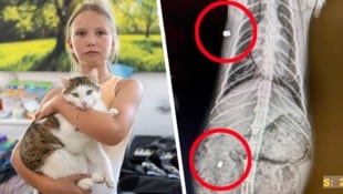 Jasmina mit Kater „Merlin“, in dessen Körper jetzt zwei Projektile stecken.