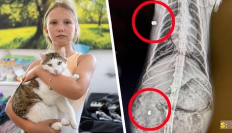 Jasmina mit Kater „Merlin“, in dessen Körper jetzt zwei Projektile stecken.
