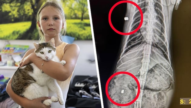 Jasmina mit Kater „Merlin“, in dessen Körper jetzt zwei Projektile stecken.