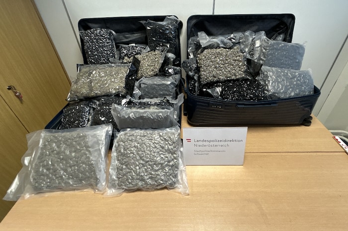 Zählt zu den typischen Fundstücken am Flughafen Wien: Koffer voller Cannabis, meistens aus ...