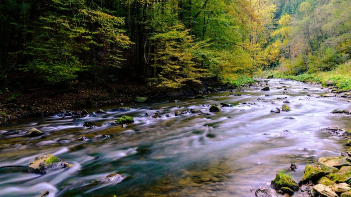 Die Raabklamm zieht immer mehr Besucher an.