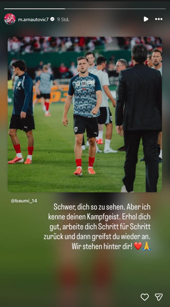 Auch Arnautovic wandte sich an Baumgartner.