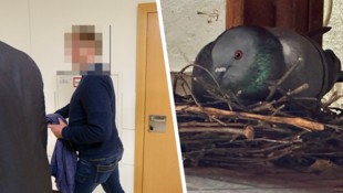Im Wiener Landesgericht musste sich der 55-jährige Pole verantworten. Ihm wurde vorgeworfen, von ...