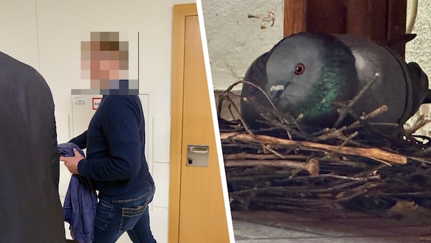 Im Wiener Landesgericht musste sich der 55-jährige Pole verantworten. Ihm wurde vorgeworfen, von ...