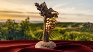 Hohe Qualität, ein spannendes Konzept und die starke Marke Burgenland – das sind die ...